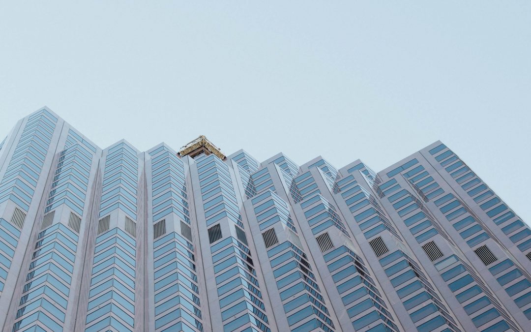 Phasellus Mattis Augue