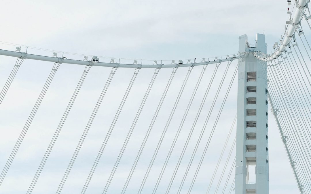 Vestibulum Nisl Felis