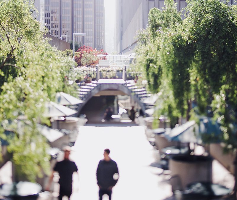 Nunc Volutpat Venenatis